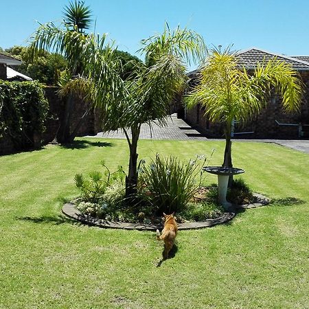 Humewood Home Stay Port Elizabeth Zewnętrze zdjęcie
